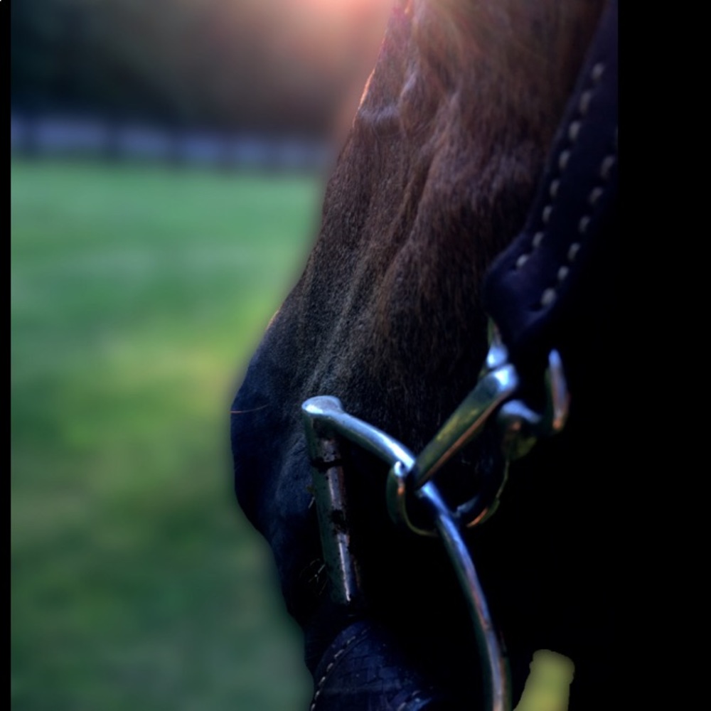 Meet your Posher, Tay